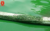 Nhiều váng xanh đậm đặc xuất hiện ở ven hồ Hoàn Kiếm